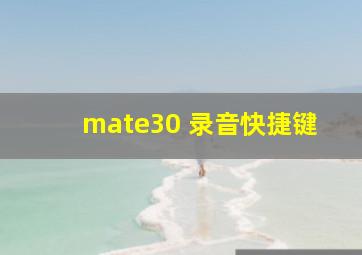 mate30 录音快捷键